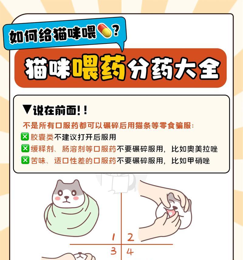 如何正确地将液体药物拌入猫粮中？