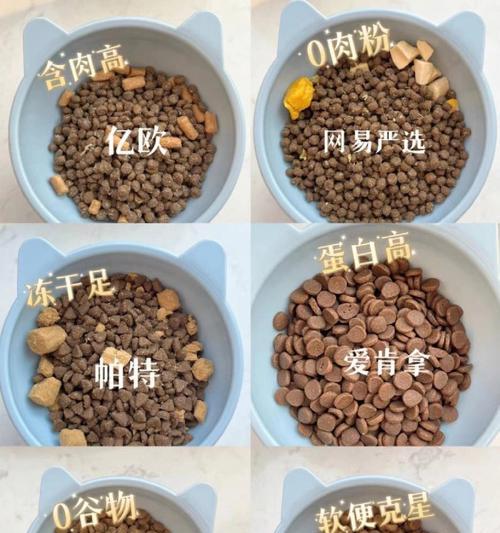 猫咪是否只能吃普通猫粮？