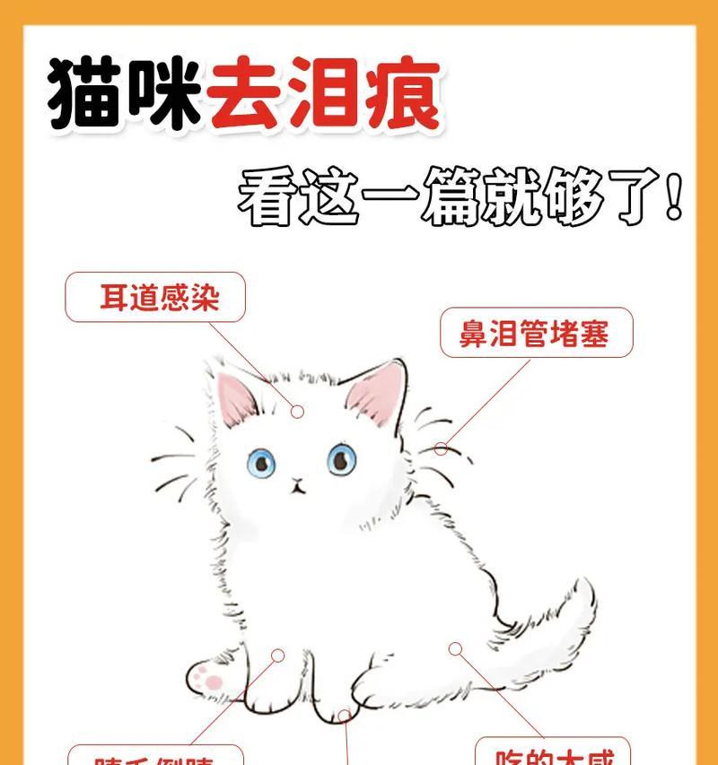 猫换猫粮后泪痕严重了怎么办？这是什么原因导致的？