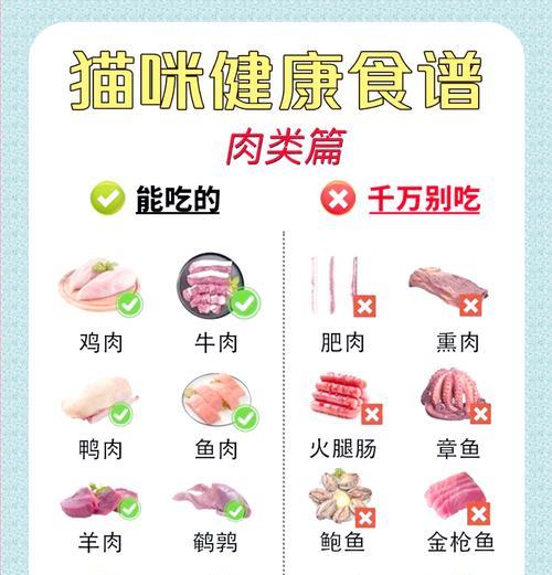 肉饼猫粮的正确喂食方法是什么？如何让猫咪更爱吃？