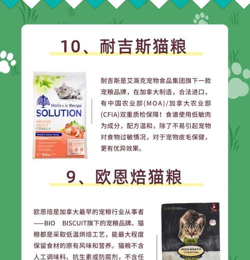 蓝猫吃什么牌子的猫粮比较好？推荐与选择指南是什么？