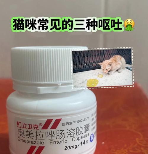 猫咪换粮后呕吐严重应该吃什么药？如何缓解猫咪换粮引起的不适？