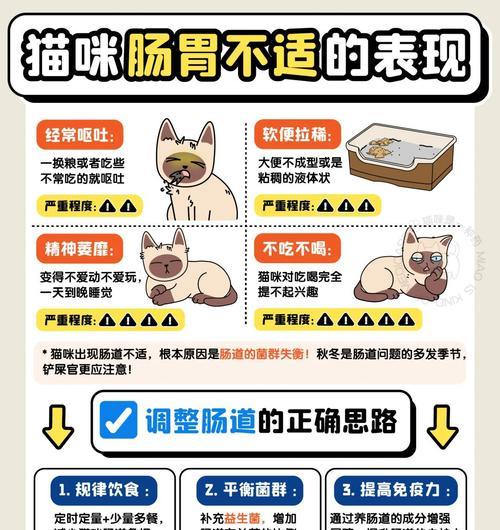 猫咪换粮后呕吐严重应该吃什么药？如何缓解猫咪换粮引起的不适？