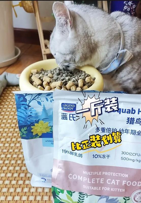 适合蓝猫心脏的猫粮推荐？
