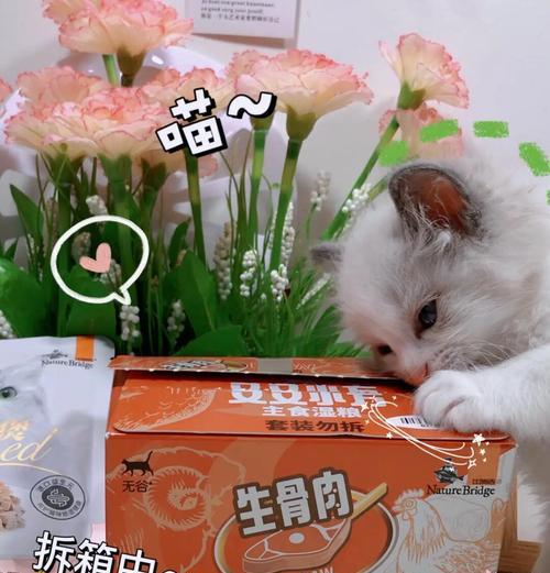 猫湿粮为何那么香？湿粮的香味对猫有何吸引力？