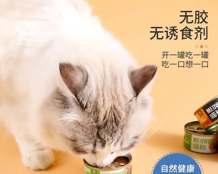 猫湿粮为何那么香？湿粮的香味对猫有何吸引力？