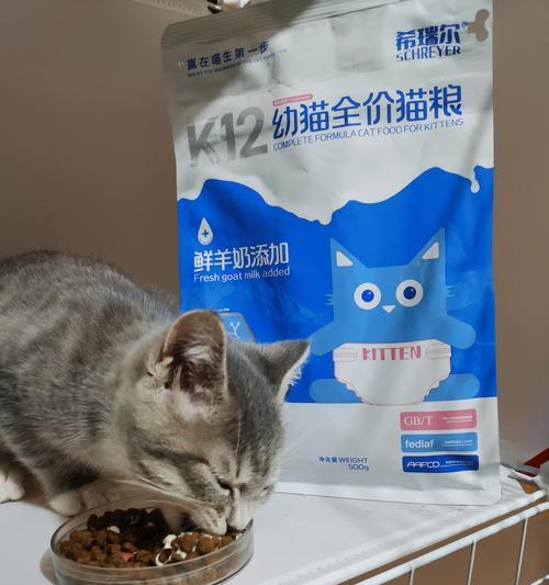 七个月大的猫咪应该吃幼猫粮还是成猫粮？