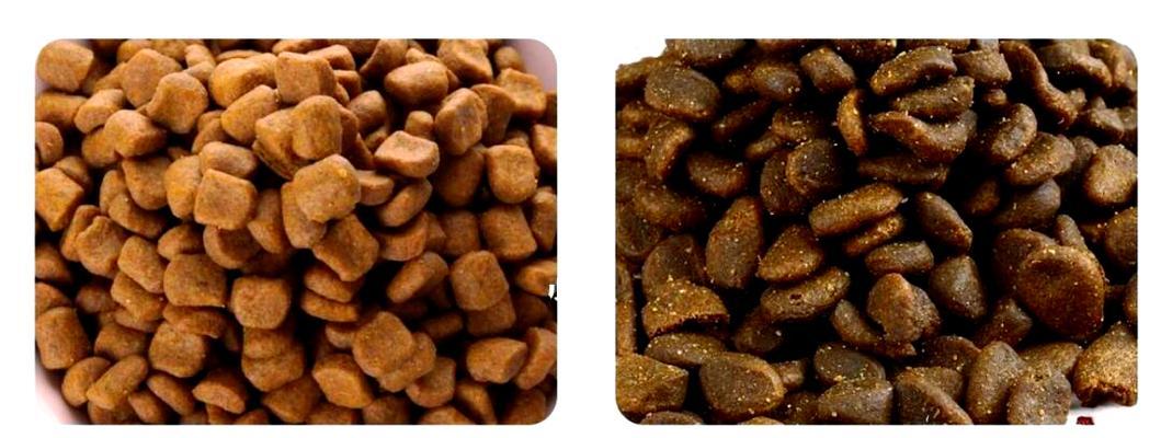 如何鉴别优质猫粮？有哪些实用的方法？