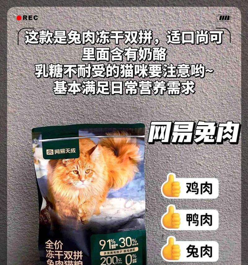 哪些猫粮会导致猫咪肥胖？如何选择不易致胖的猫粮？