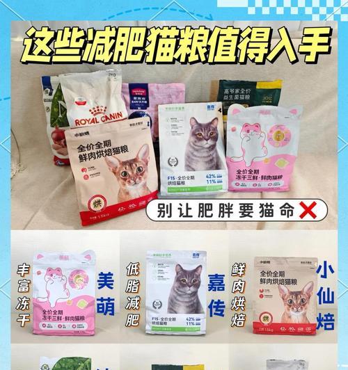 哪些猫粮会导致猫咪肥胖？如何选择不易致胖的猫粮？