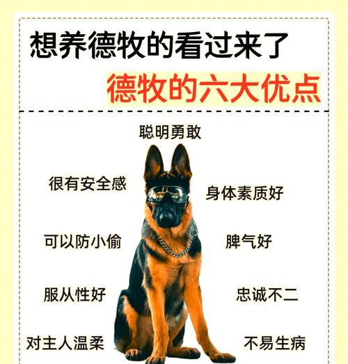 德牧外驱药使用多少盐水才是正确的？