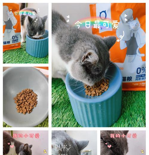 皮蛋猫粮罐头的简单美味做法是什么？