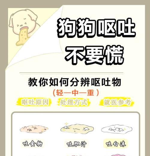 小狗误食猫粮为何会引起争执？如何预防这种情况？
