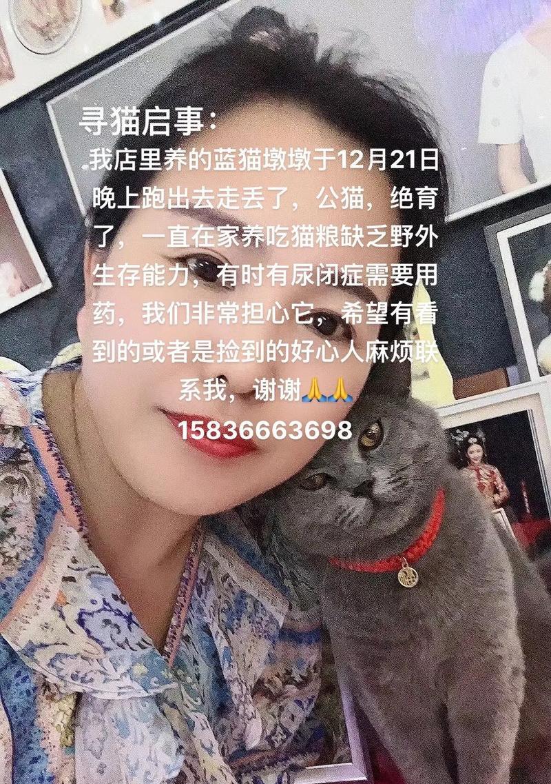 猫咪半夜偷吃猫粮是为什么？