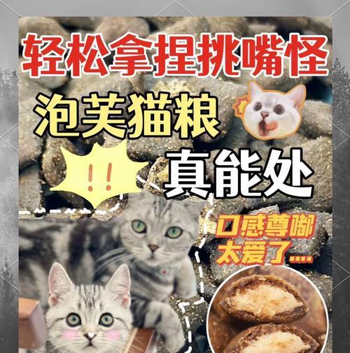 猫粮可以泡水吗？怎样泡猫粮才能让猫咪更爱吃？