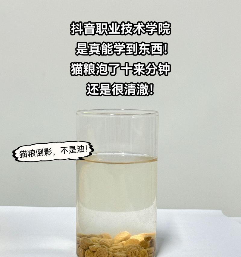 猫粮可以泡水吗？怎样泡猫粮才能让猫咪更爱吃？