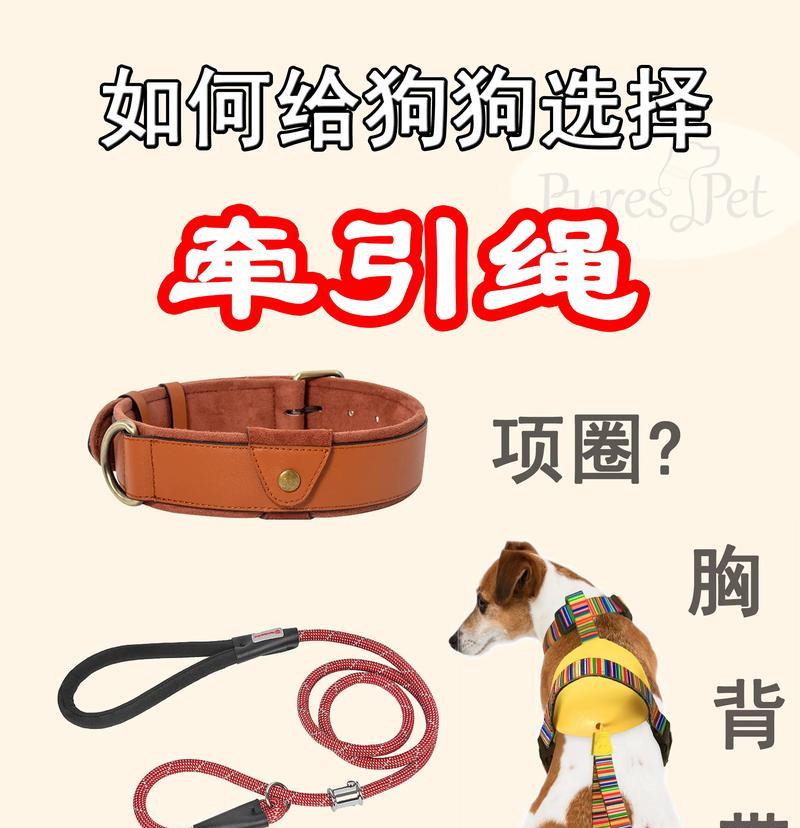 如何正确拴绑羊驼以确保安全？