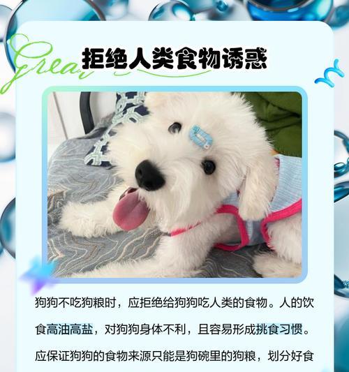 狗狗为何拒绝吃狗粮？