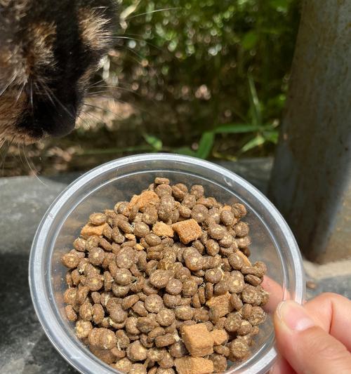 蓝氏猫粮罐头的评价如何？
