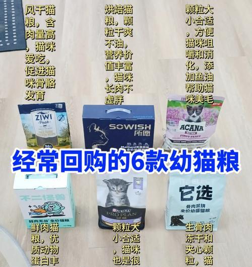 保定德牧证书办理费用是多少？需要哪些材料？
