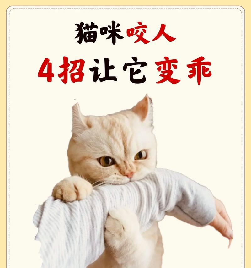 猫咪啃食猫粮后甩头是何原因？应该怎么办？
