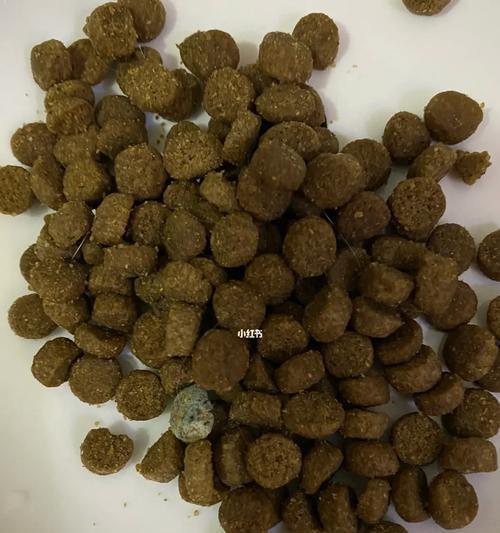 猫咪为何对发霉猫粮有情绪反应？