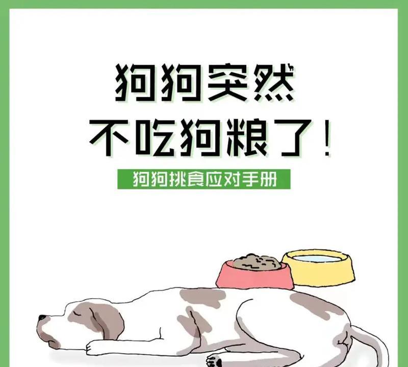 狗吃了自制狗饭之后不吃狗粮了会死吗？原因是什么？