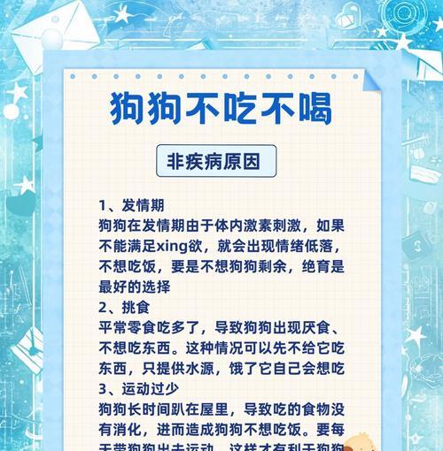 狗吃了自制狗饭之后不吃狗粮了会死吗？原因是什么？