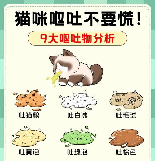 换猫粮后猫咪呕吐完整猫粮的原因是什么？
