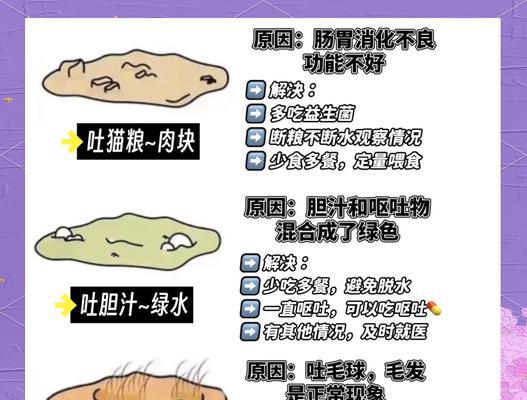 换猫粮后猫咪呕吐完整猫粮的原因是什么？