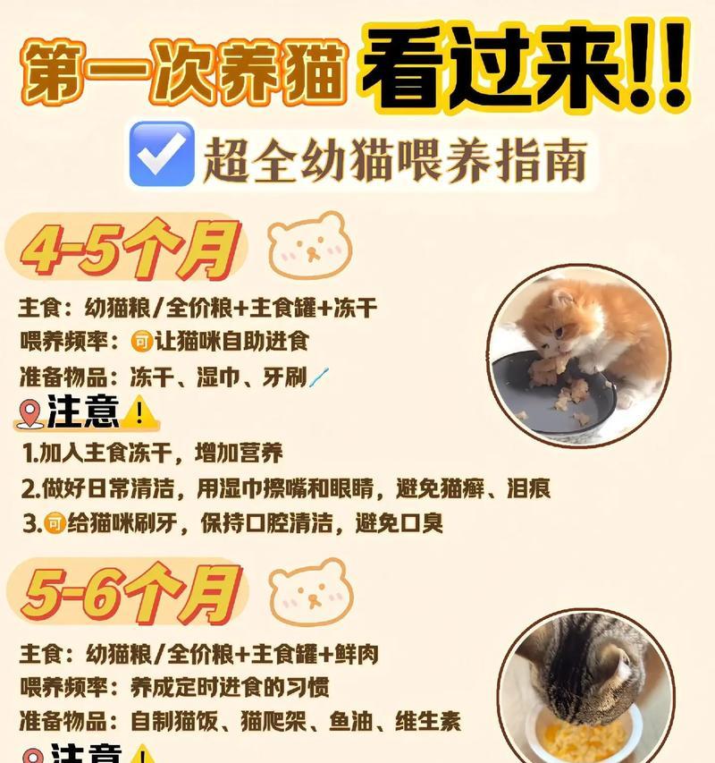 正确的猫粮喂养方法是什么？