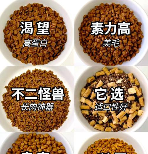 夫妻小猫打架猫粮怎么处理？如何用猫粮缓解小猫的紧张关系？