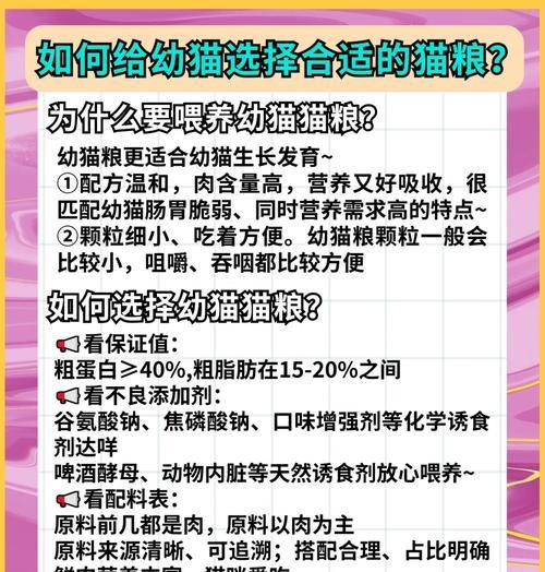 猫粮假冒伪劣如何处罚？消费者如何维权？
