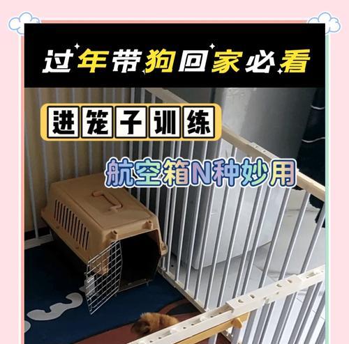 羊驼笼子安装步骤是什么？需要哪些工具？
