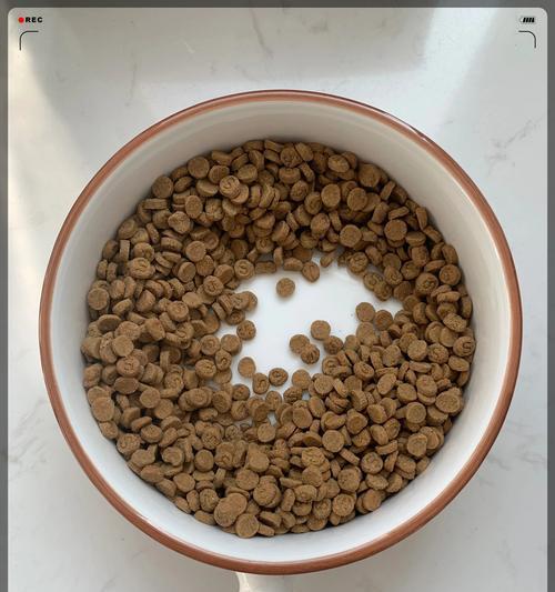 猫粮处于什么湿度更好？如何保持猫粮新鲜？