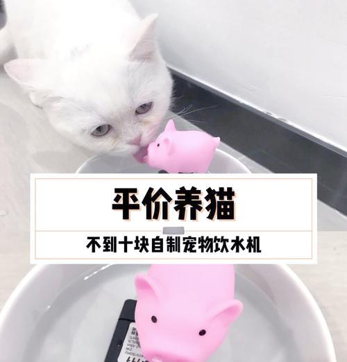 猫粮水一体设备如何操作？使用时应注意哪些问题？