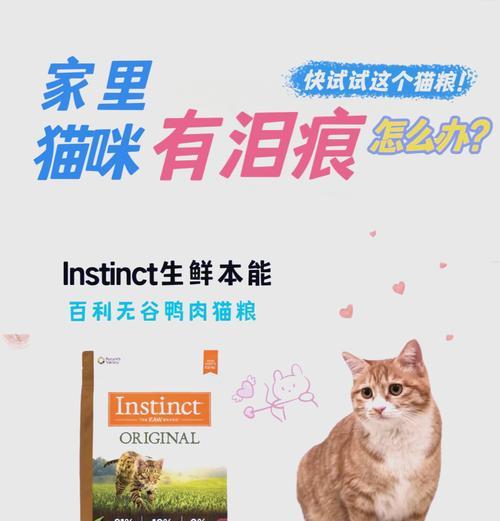 哪种牌子的猫粮可以让猫咪没有泪痕？猫咪泪痕的解决方法有哪些？