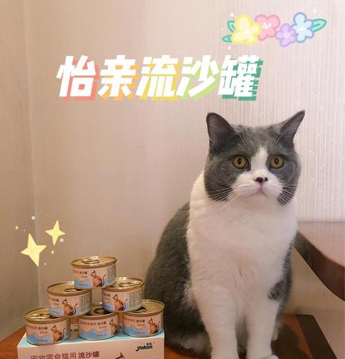 猫粮罐头补水罐的正确使用方法是什么？它如何帮助猫咪补水？