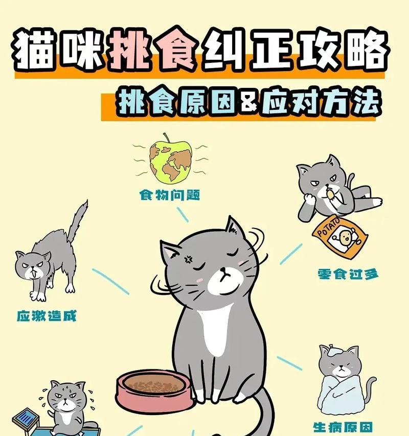 小猫生吞猫粮的健康风险有哪些？如何纠正？