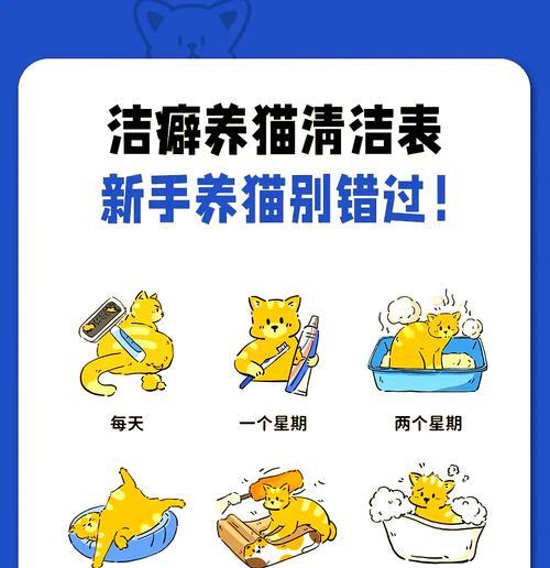 猫咪弄洒猫粮如何清理？有哪些预防措施？