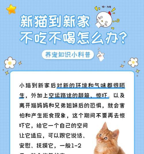 刚接到的猫咪为什么不吃猫粮？如何让新猫咪适应环境？