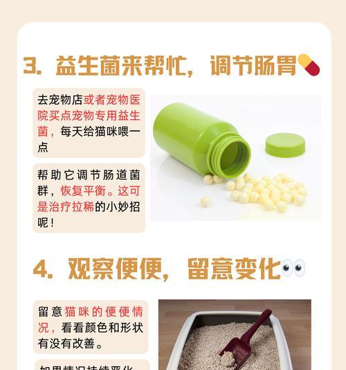 养胃猫粮如何防止软便和便血？正确的喂食方法是什么？