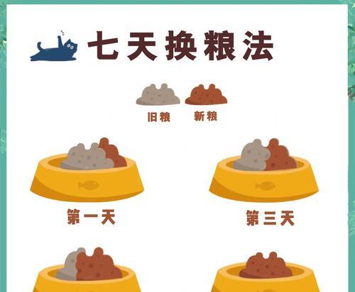 养胃猫粮如何防止软便和便血？正确的喂食方法是什么？