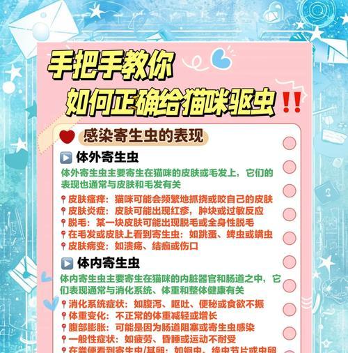 猫粮里小甲虫怎么办？如何预防和处理？