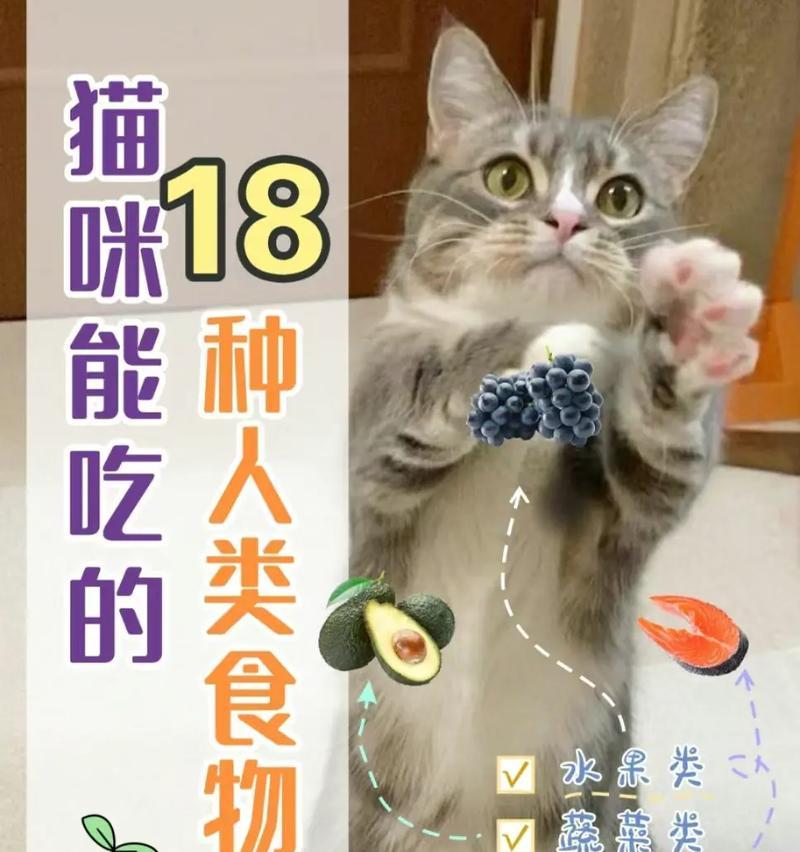 小猫可以吃什么猫粮以外的食物？