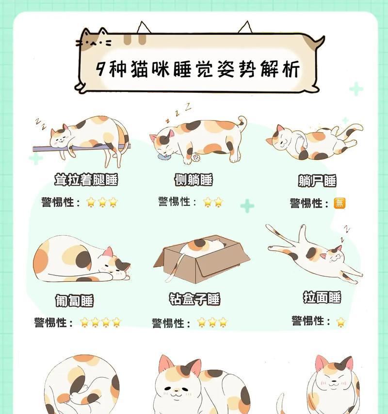 猫咪喜欢睡在猫粮桶里是否正常？可能的原因是什么？