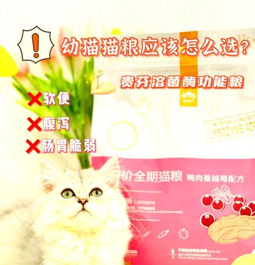 幼猫吃猫粮费劲是正常现象吗？如何解决？