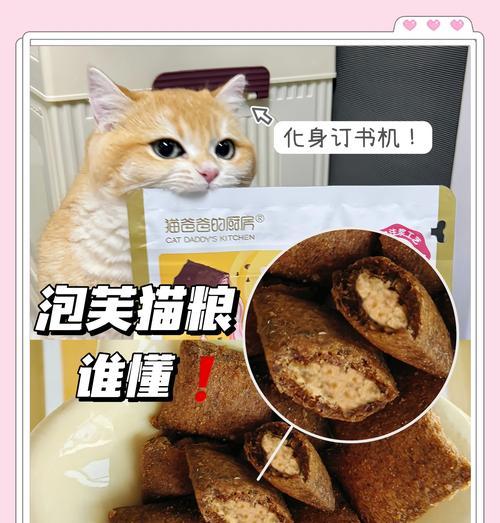 如何将巧克力安全地融入猫粮中？这样做对猫咪有害吗？