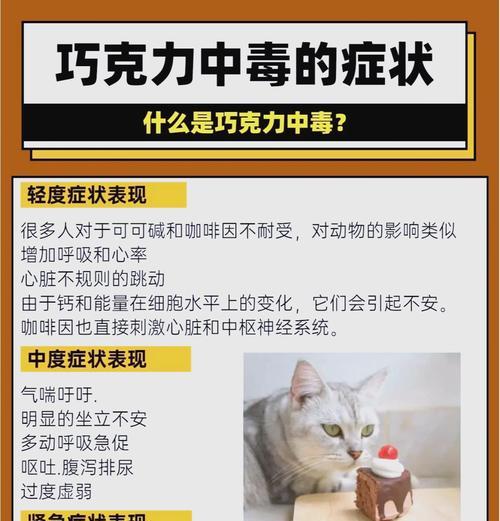 如何将巧克力安全地融入猫粮中？这样做对猫咪有害吗？