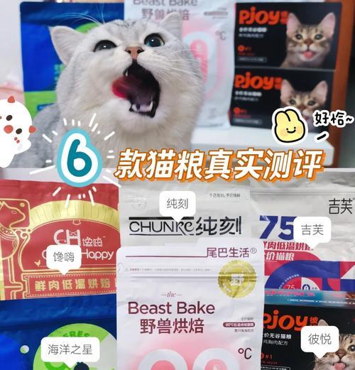 官方正品肉丝猫粮有哪些特点？如何辨别真伪？